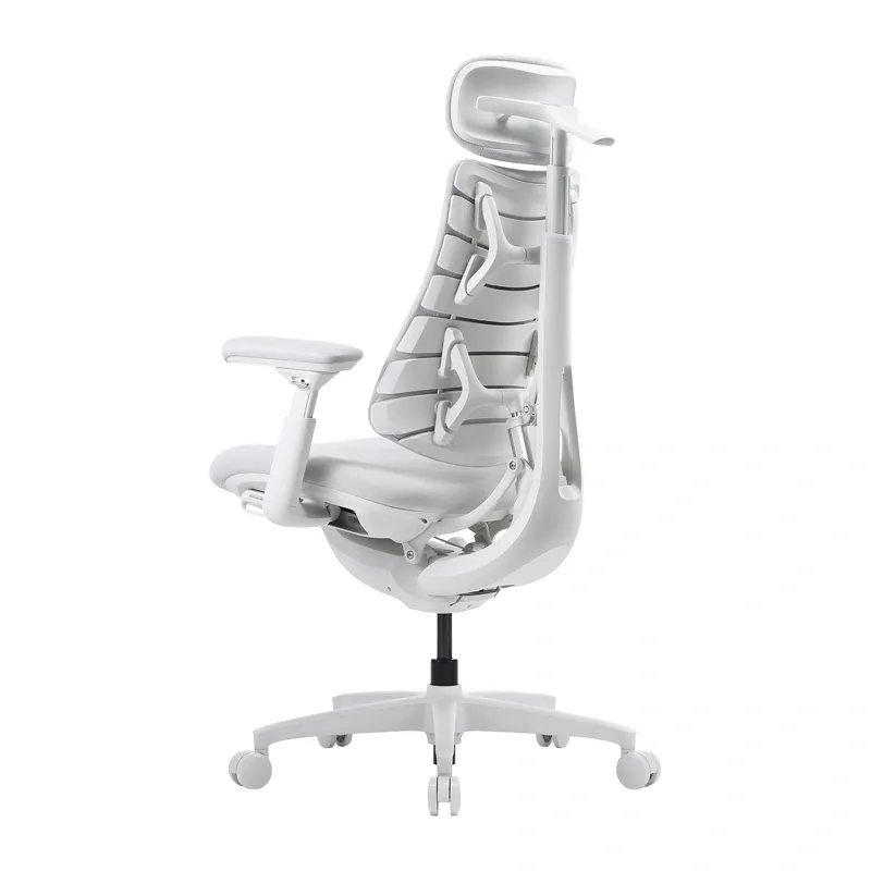 LiberNovo Omni GEN 45 cm Ergonomic Chair (White)